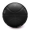 Wilson NBA Player Nightmode Lebron James Ball