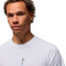 Jordan Sport Dri-Fit Graphic Crew T-Shirt