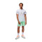 Jordan Sport Dri-Fit Graphic Crew T-Shirt