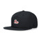 Jordan Pro Sneaker Cap