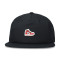 Jordan Pro Sneaker Cap