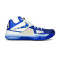 Nike Zoom KD 4 The Real MVP Basketball Shoes