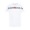 Jersey Jordan Air Stretch Crew Niño