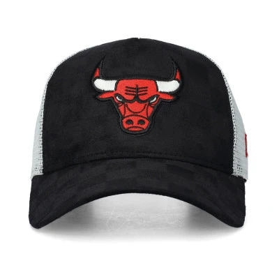Gorra Chicago Bulls Tonal Check 9Forty
