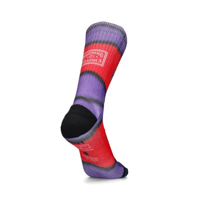 Toronto Raptors Mini Ball Hardwood Classics Socks