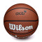 Balón Wilson ACB Reaction Pro