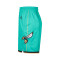 Jordan Kids Charlotte Hornets Swingman 2024-2025 City Edition Shorts