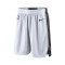 Nike San Antonio Spurs Swingman Association Edition Shorts