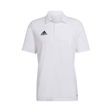 Entrada 22 m/c EQPCBE Polo shirt White