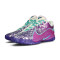 Zapatillas Nike Lebron 22 Frozen Grapes