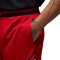 Pantalón corto Jordan Sport Diamond