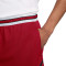 Pantalón corto Jordan Sport Diamond