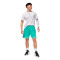 Pantalón corto Jordan Sport Diamond
