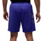 Jordan Sport Shorts