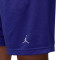 Jordan Sport Shorts