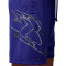 Jordan Sport Shorts
