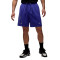 Jordan Sport Shorts