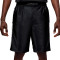 Jordan Brooklyn Cat Scratch Shorts