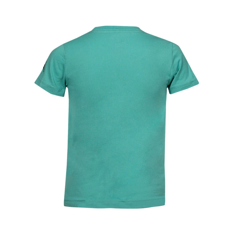 camiseta-jordan-wordmark-emb-crew-preescolar-washed-teal-2
