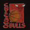 Camiseta New Era Chicago Bulls NBA Wordmark