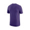 Camiseta Jordan Charlotte Hornets Essential Jumpman Niño