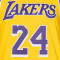 Nike Los Angeles Lakers Authentic Icon Edition Kobe Bryant Jersey