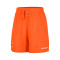 Nike Women's WNBA Team 13 Dri-Fit 6" Fleece  Shorts