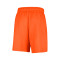 Nike Women's WNBA Team 13 Dri-Fit 6" Fleece  Shorts