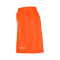 Nike Women's WNBA Team 13 Dri-Fit 6" Fleece  Shorts