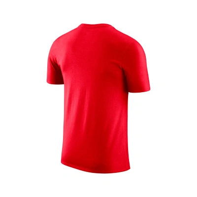 Camiseta Chicago Bulls Essential Colleguiate