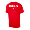 Jordan Chicago Bulls Courtside Statement 85 T-Shirt