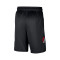 Short Nike Portland Trail Blazers Swingman Icon Edition