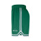 Short Nike Boston Celtics DNA Woven