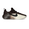Nike Lebron TR1 Training Shoes
