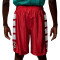 Jordan Brooklyn Cat Scratch Shorts