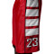 Jordan Brooklyn Cat Scratch Shorts