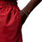 Jordan Brooklyn Cat Scratch Shorts