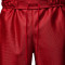 Jordan Brooklyn Cat Scratch Shorts