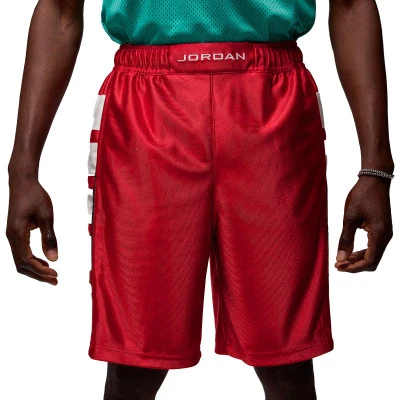 Brooklyn Cat Scratch Shorts
