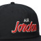 Gorra Jordan Pro Brand Essential