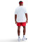 Playera Nike Max90 Naos