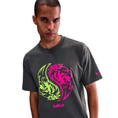 Playera Lebron Max90