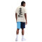 Playera Nike Giannis Freak