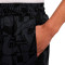 Pantalón corto Nike Giannis Dri-Fit DNA