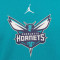 Jordan Charlotte Hornets Club Fleece Niño Sweatshirt