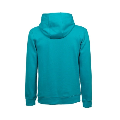 Sweatshirt Charlotte Hornets Club Fleece Criança