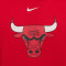 Nike Kids Chicago Bulls Club Fleece Sweatshirt