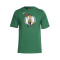 Nike Kids Boston Celtics Essential Logo T-Shirt