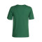 Nike Kids Boston Celtics Essential Logo T-Shirt
