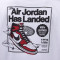 Camiseta Jordan Air Jordan Has Landed Niño